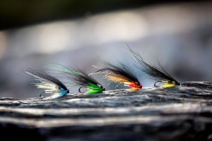 Atlantic Flies Summer Collection