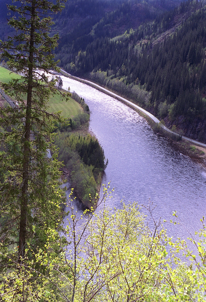 BS1 Upper Pool