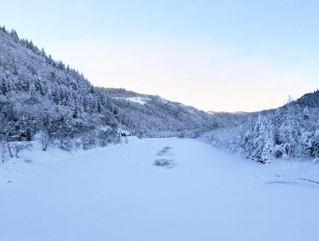 Still looking for the perfect Christmas gift? We have a few Prime Time rods available!