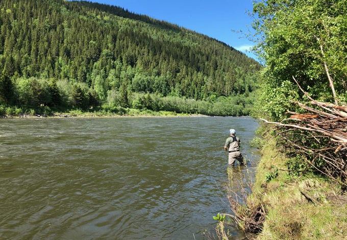 Norwegian-Flyfishers-Club-Gaula-Beat-L1-upper