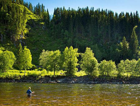 Full Season on the Gaula River (01.06. – 31.08.)!