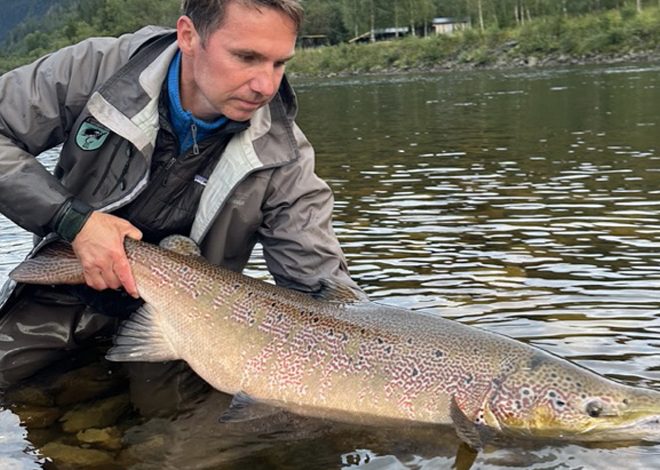 Norwegian-Flyfishers-Club-Gaula-Salmon-Daniel-Stephan-A1