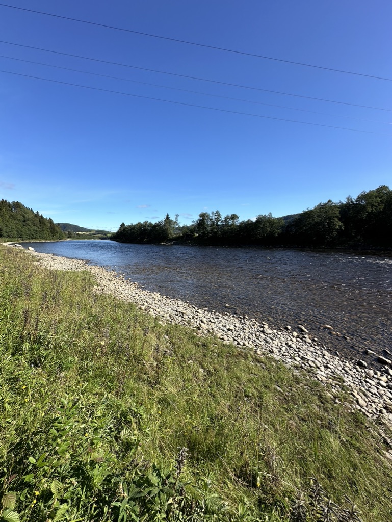 Norwegian-Flyfishers-Club-Atlantic-Salmon-Fishing-Gaula-River-New-Beat-Lundamo