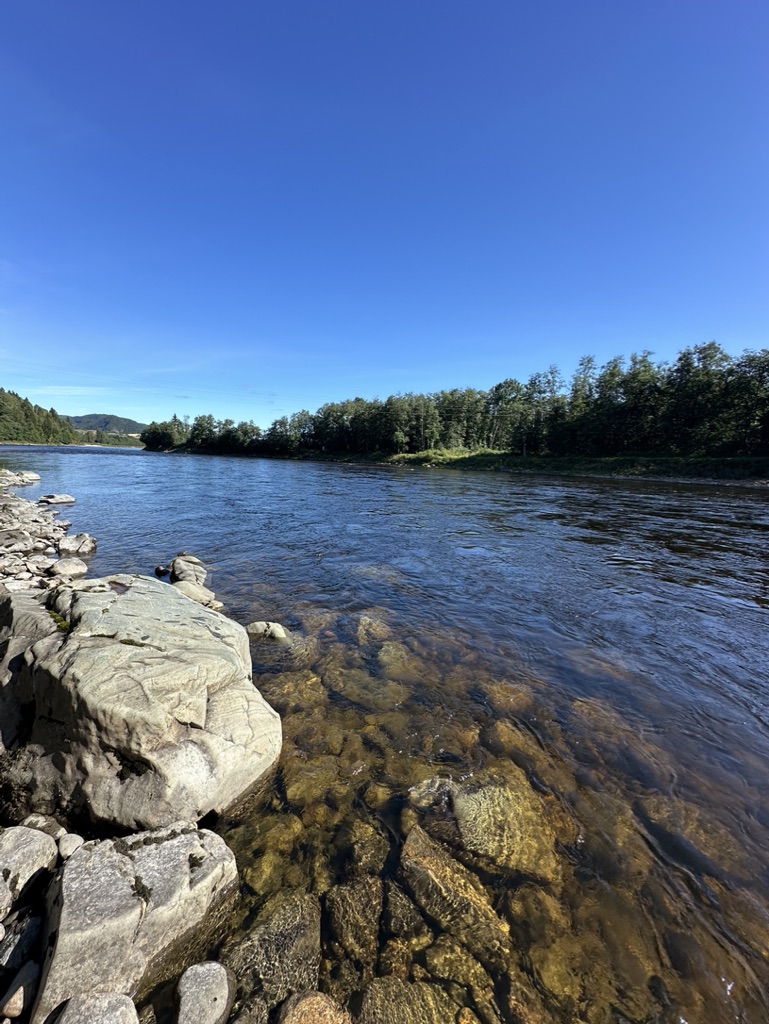 Norwegian-Flyfishers-Club-Atlantic-Salmon-Fishing-Gaula-River-New-Beat-Lundamo