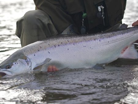 Early-Season Magic on the Gaula: Limited Rods Available!