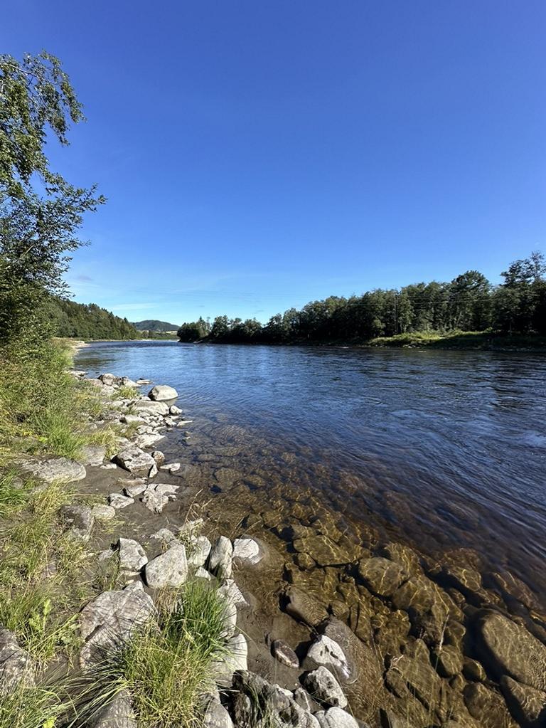 Norwegian-Flyfishers-CLub-Gaula-River-Atlantic-Salmon-Beat-Lundam