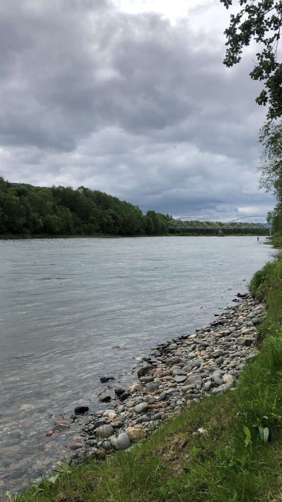 Norwegian Flyfishers CLub Lower Gaula Beat Melhus